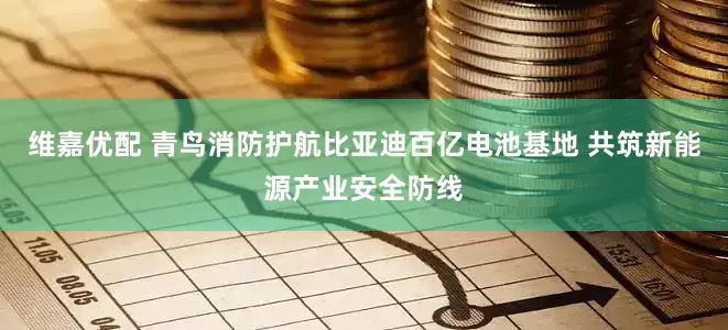 维嘉优配 青鸟消防护航比亚迪百亿电池基地 共筑新能源产业安全防线