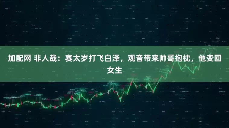 加配网 非人哉：赛太岁打飞白泽，观音带来帅哥抱枕，他变回女生