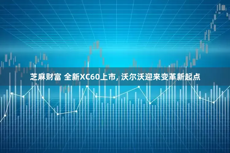 芝麻财富 全新XC60上市, 沃尔沃迎来变革新起点