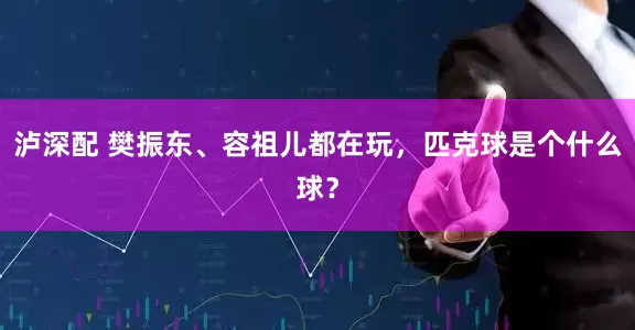 泸深配 樊振东、容祖儿都在玩，匹克球是个什么球？