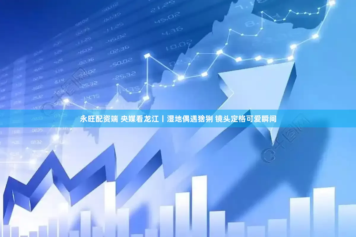 永旺配资端 央媒看龙江丨湿地偶遇猞猁 镜头定格可爱瞬间