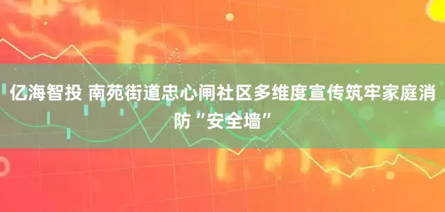 亿海智投 南苑街道忠心闸社区多维度宣传筑牢家庭消防“安全墙”