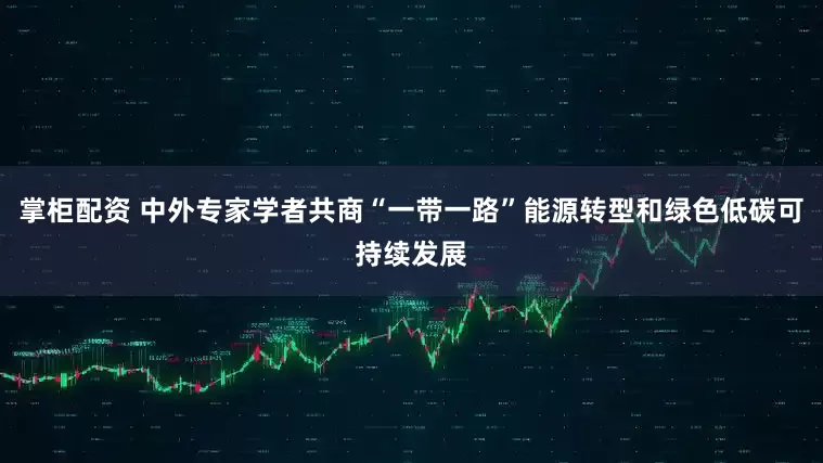 掌柜配资 中外专家学者共商“一带一路”能源转型和绿色低碳可持续发展