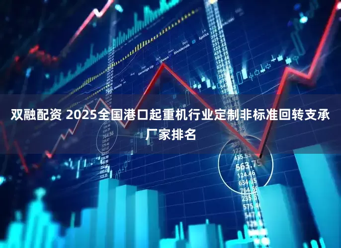 双融配资 2025全国港口起重机行业定制非标准回转支承厂家排名