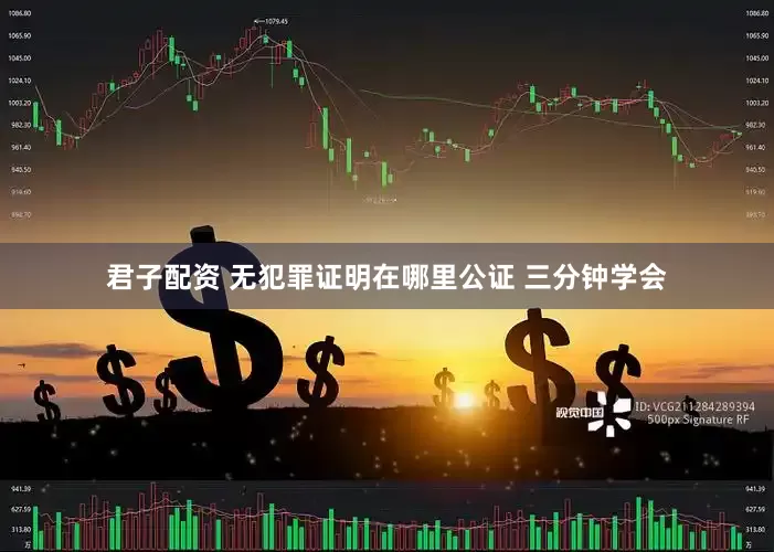 君子配资 无犯罪证明在哪里公证 三分钟学会